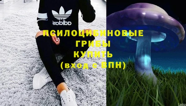 прущие крисы Кукмор