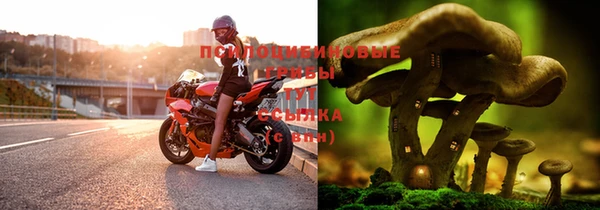 первитин Куйбышев